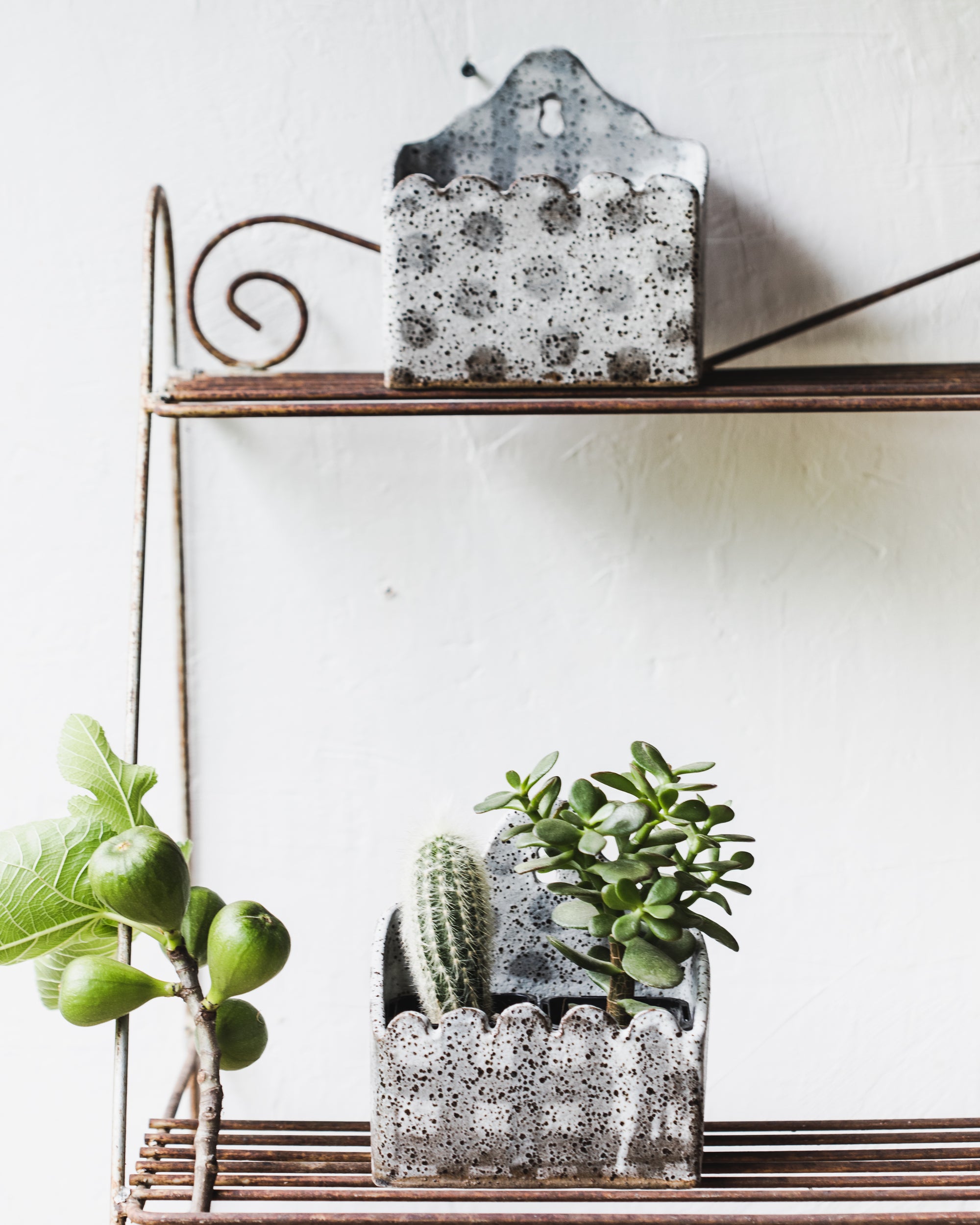 Hanging rustic speckled wall planter boxes with scalloped rim front and high back in grey/white speckled finish by Clay Beehive ceramics
