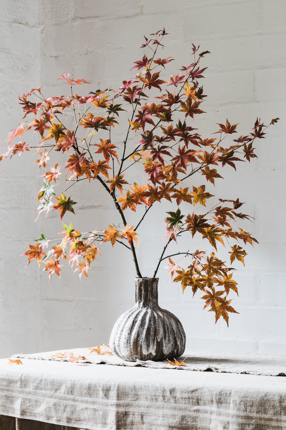 Rustic large voluptuous pod vase with tall neck handmade by clay beehive ceramics