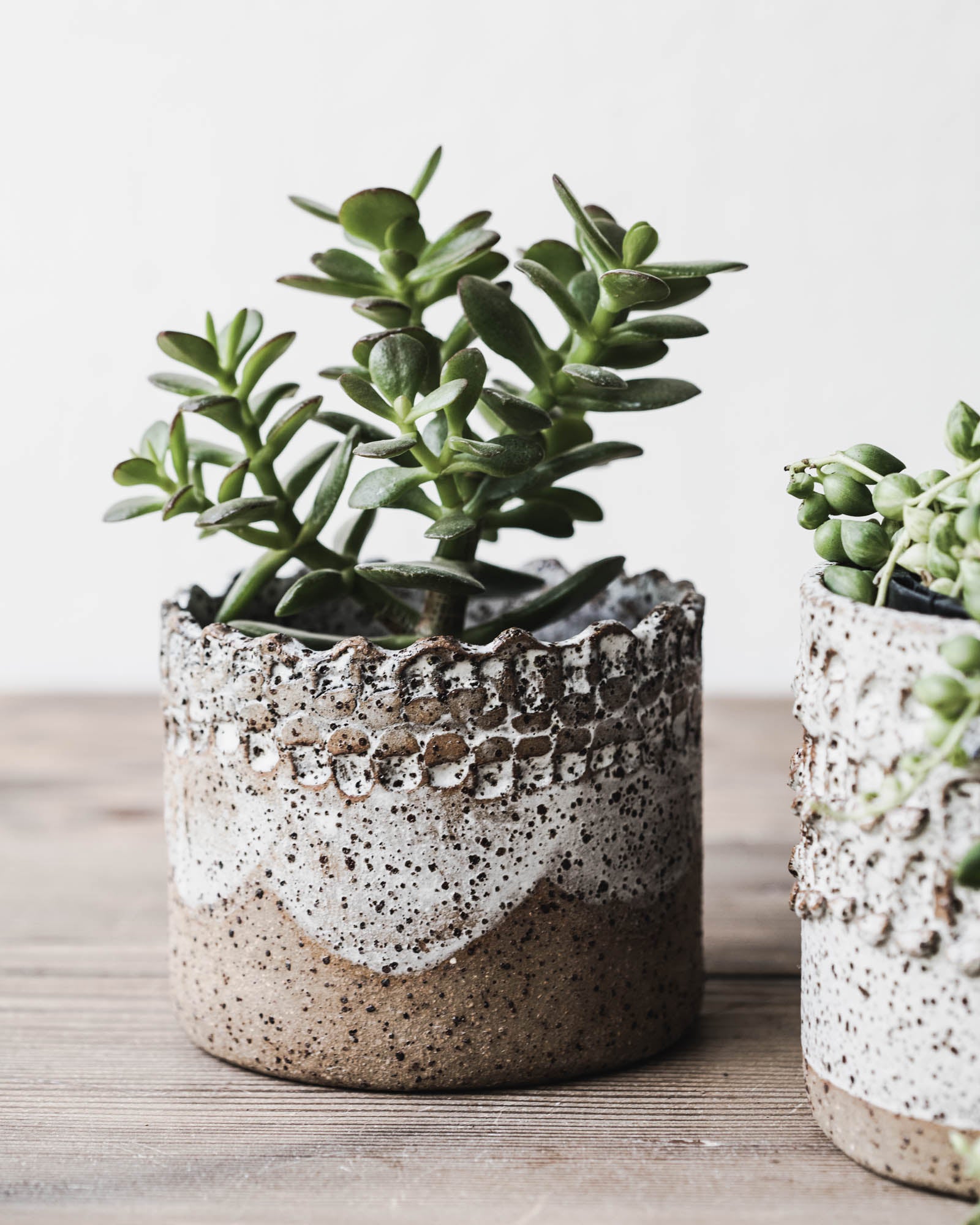Rustic textured speckled planters