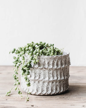 Handmade ceramic rustic speckled planter pots handmade by clay beehive ceramics