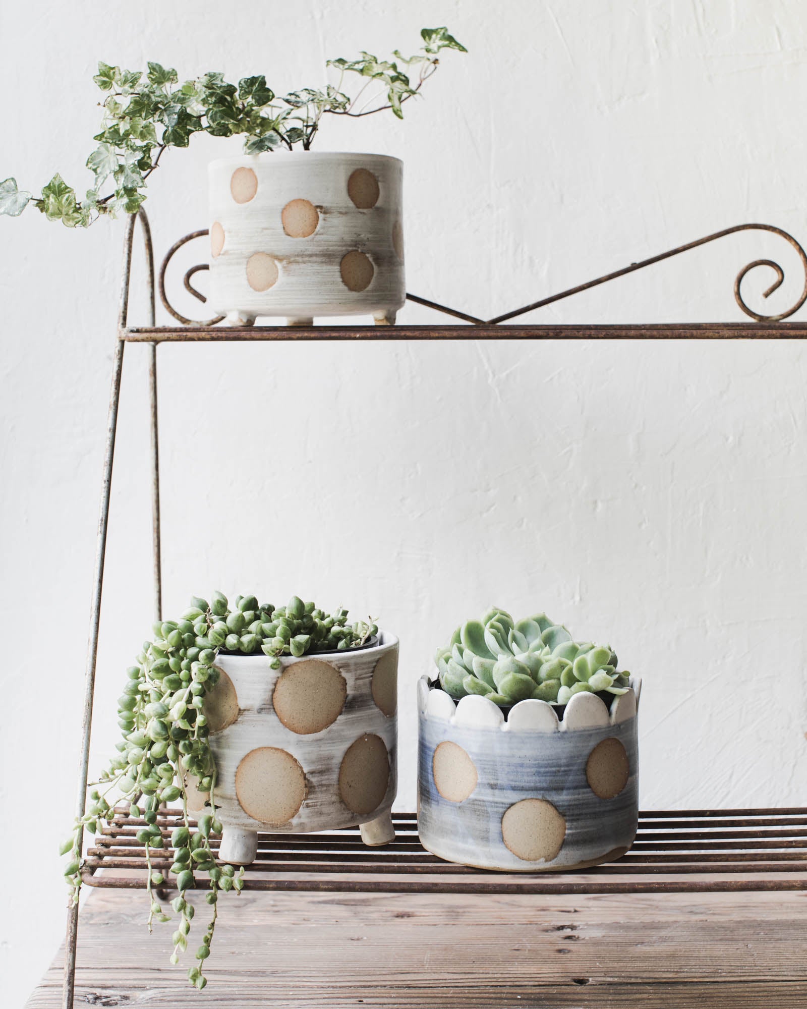 Handmade ceramic planter pots with large polka dots by clay beehive ceramics