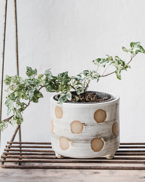 Handmade ceramic planter pots with large polka dots by clay beehive ceramics