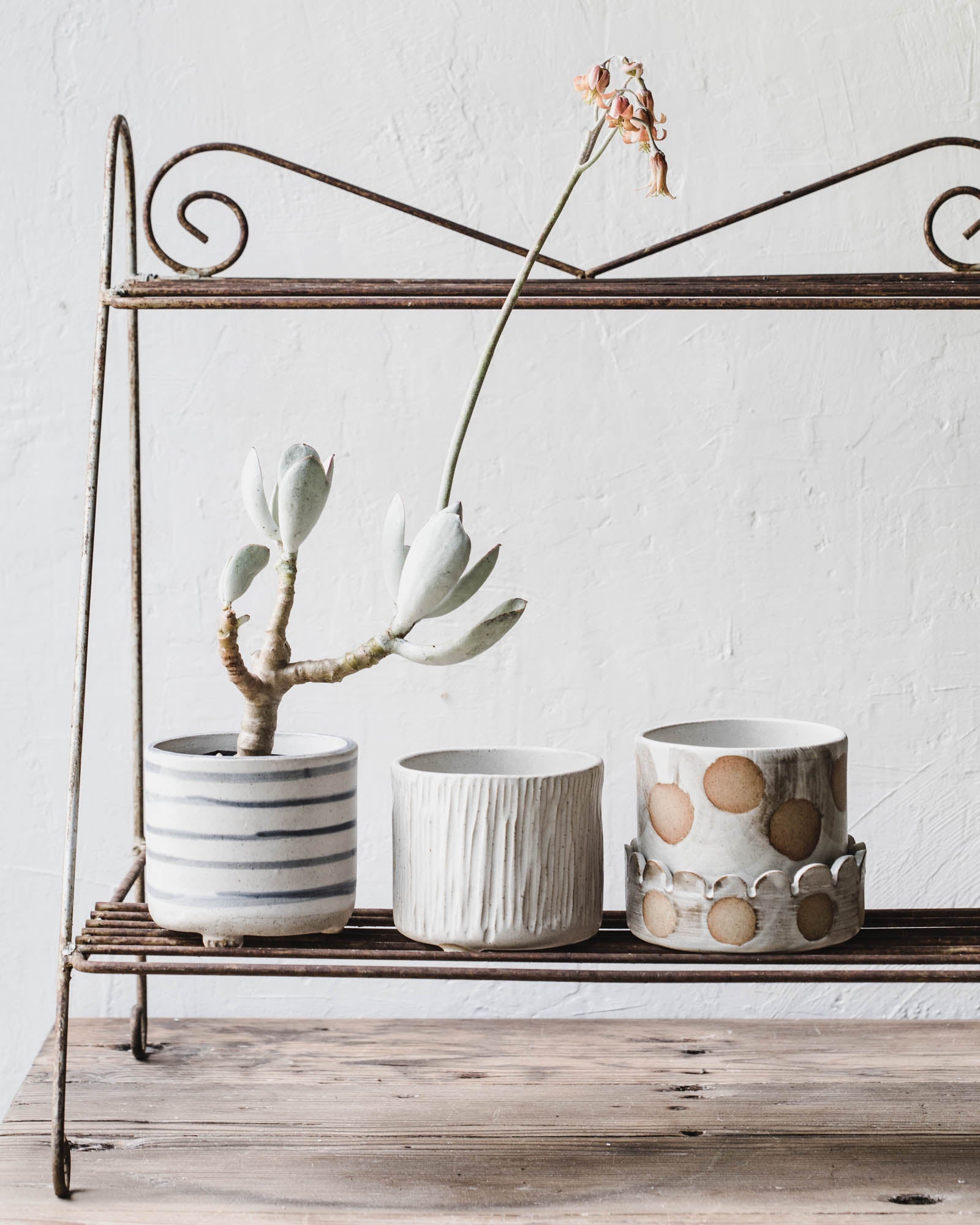little handmade ceramic planters by clay beehive ceramics