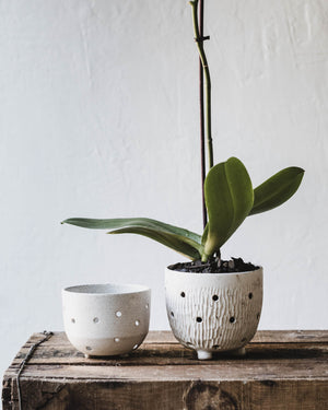 Wheel-thrown orchid pots with holes for aeration by clay beehive ceramics