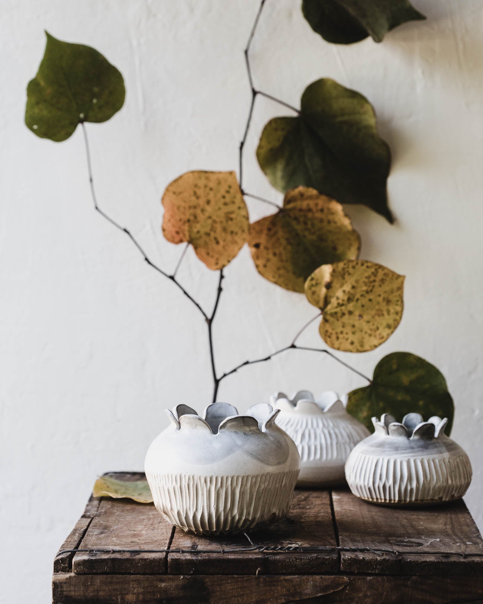 Pod Vases with scalloped rim and carving details