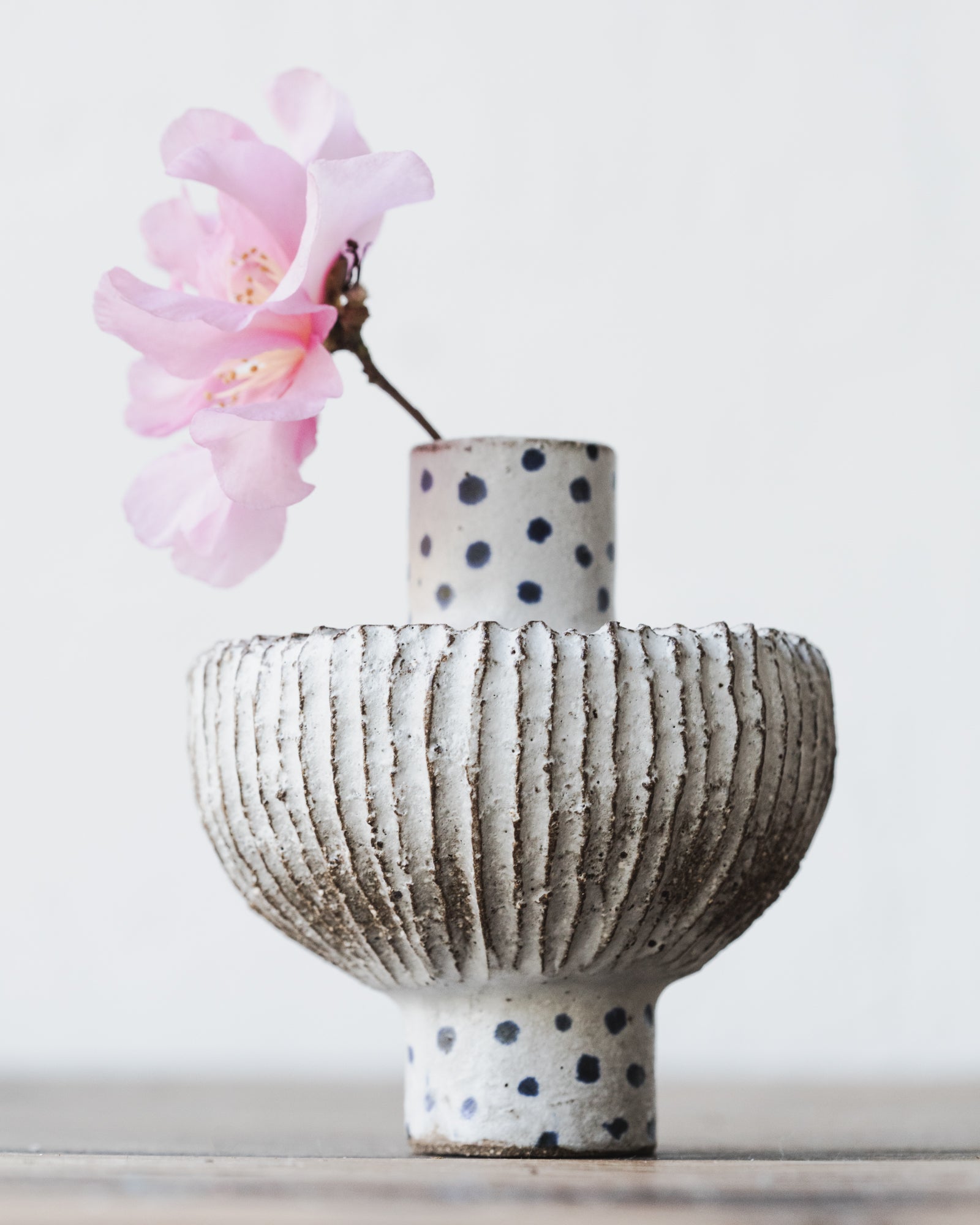 Handmade ceramic flat pod bud vases with carvings and blue freckles by clay beehive ceramics