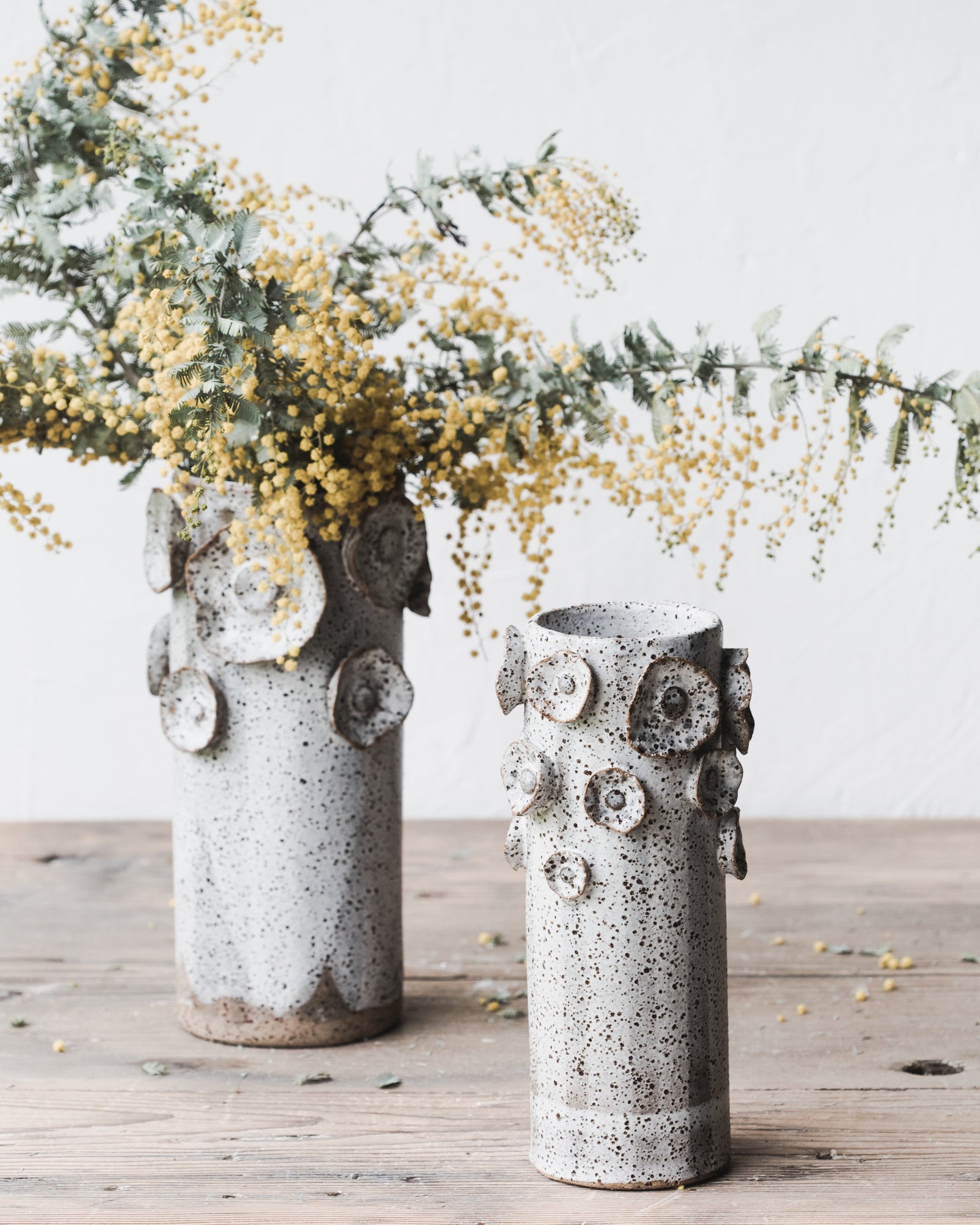 Rustic speckled Flowers and lines tall vases