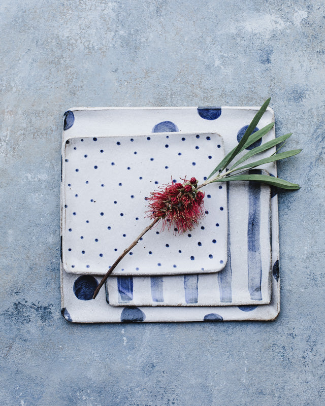 Blue and white square & rectangular plates
