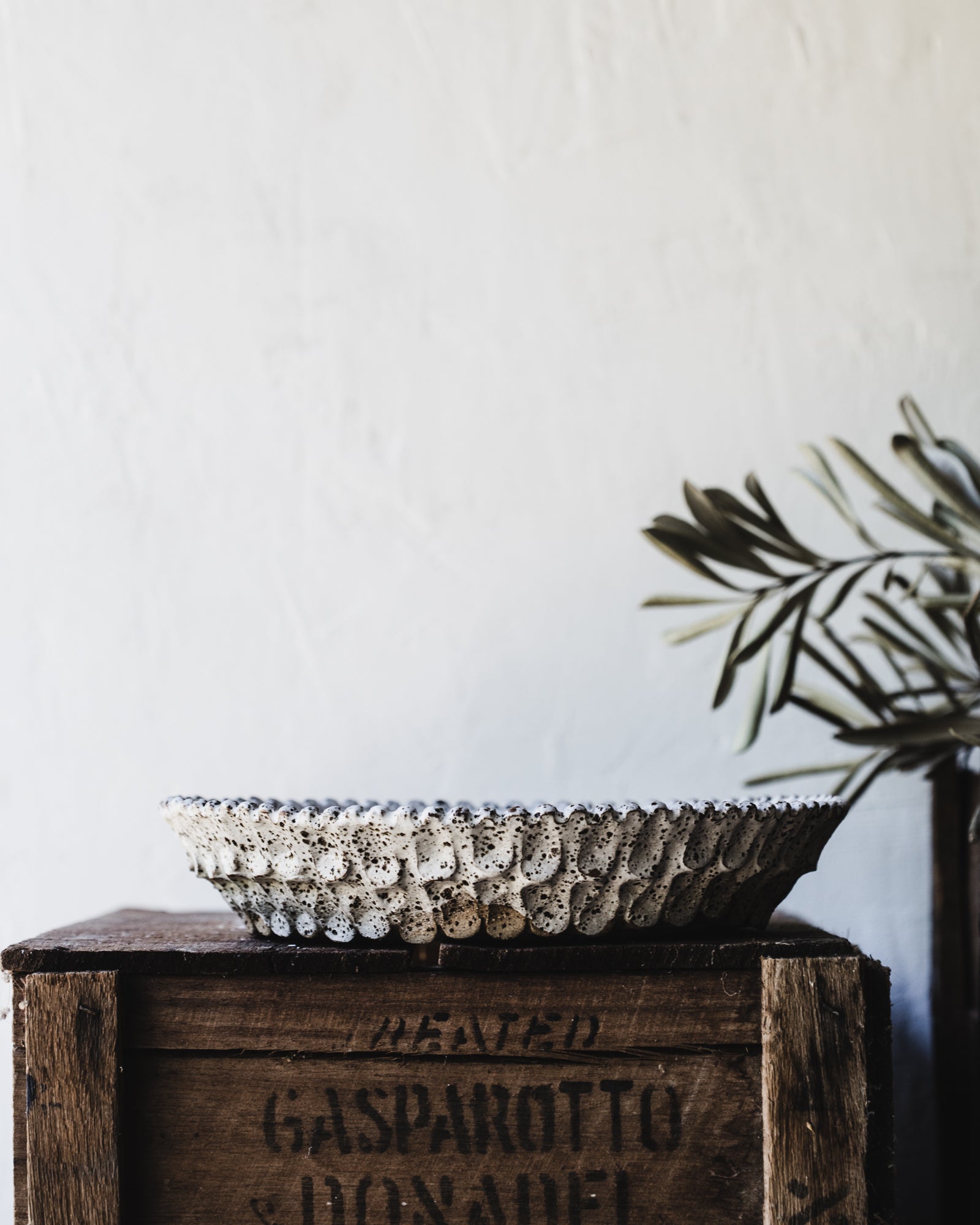 textured rustic speckled pinch bowl with scallop rim larger 25cm x 5cm size handmade by clay beehive ceramics