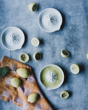 wheelthrown juicers for lemons and limes perfect for your kitchen by clay beehive