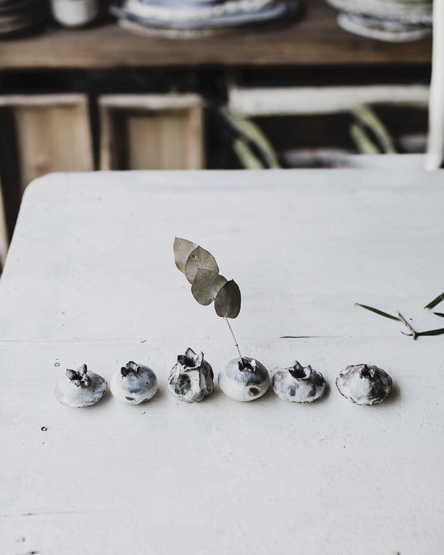 Minature seed pod vessels